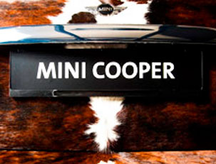 The pet MINI