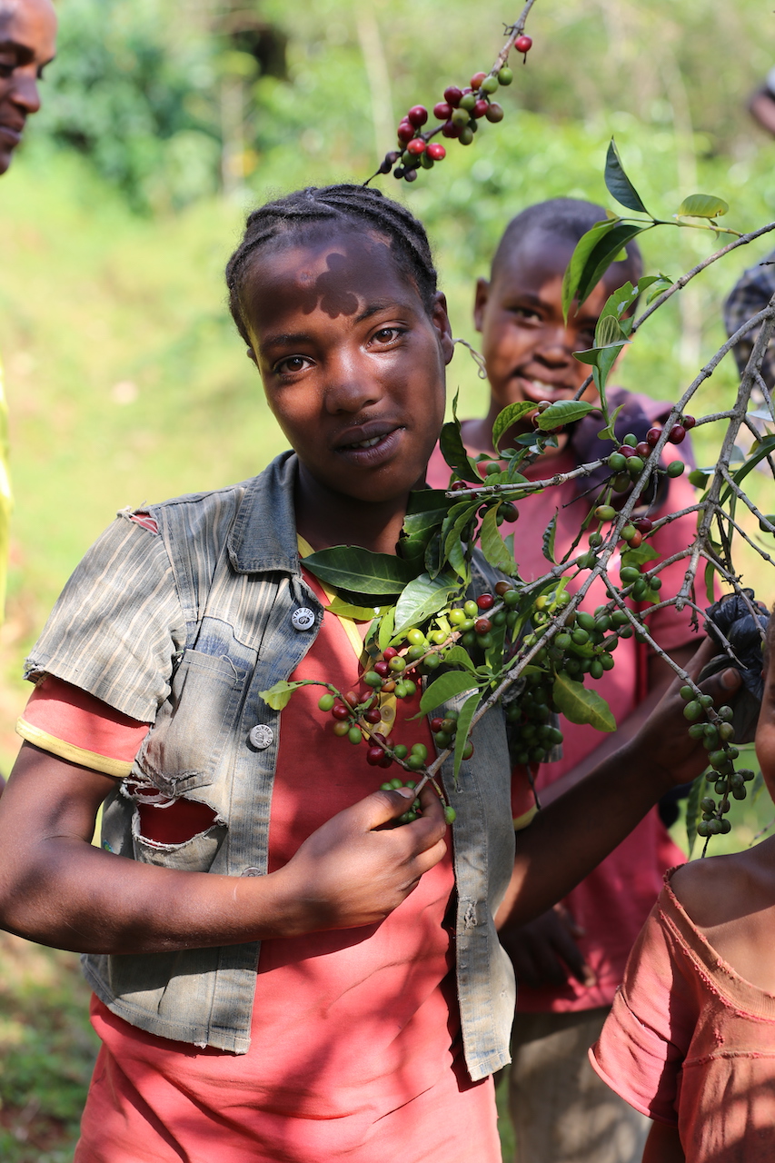 Women You Should Know: Kaffee-bäuerinnen IN Äthiopien