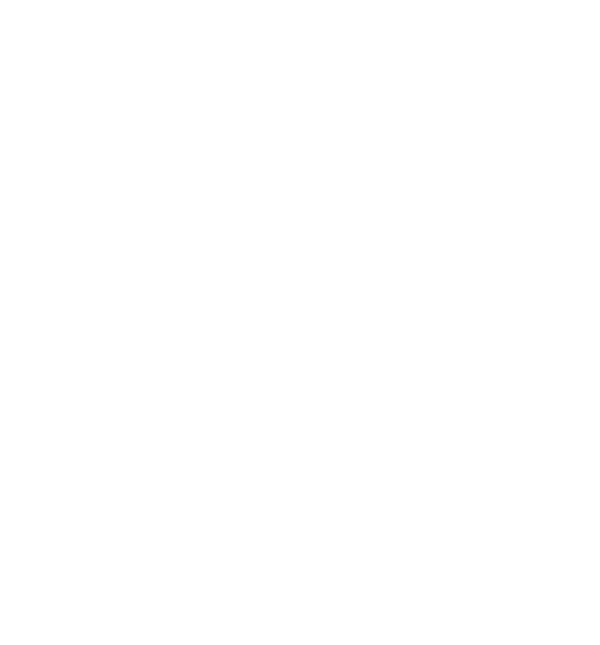 Swiss Ladies Drive League of Leading Ladies - Logo