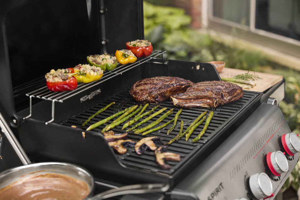 Weber Spirit