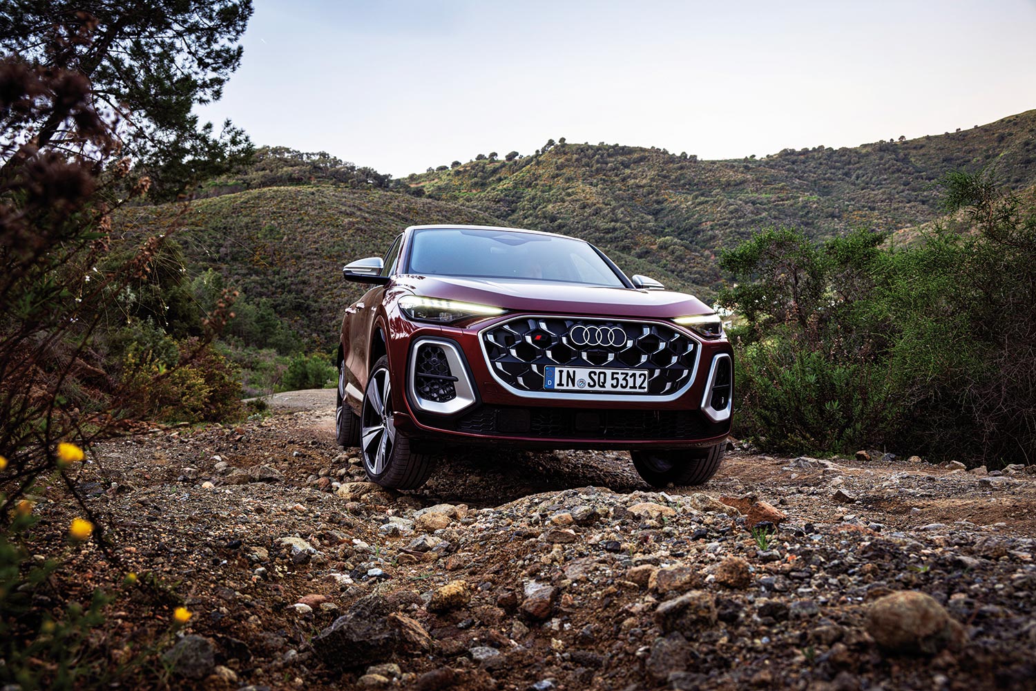 Audi SQ5: Schau mir in die Augen, Kleines!