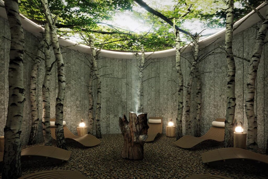 Appenzeller Huus x Swissline