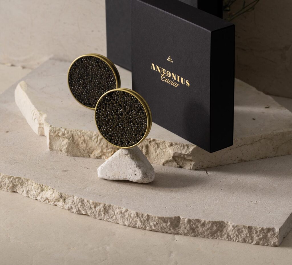 Ladies Drive No. 72: Women Empowering Women. Antonius Caviar