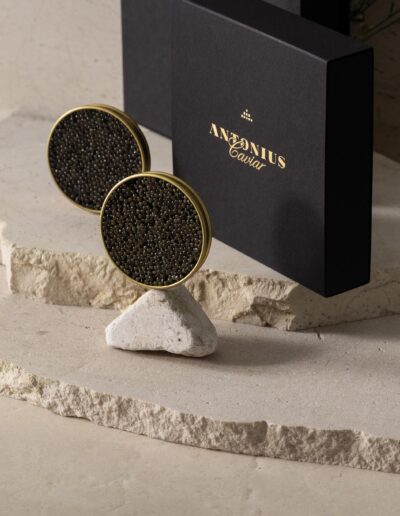 Ladies Drive No. 72: Women Empowering Women. Antonius Caviar