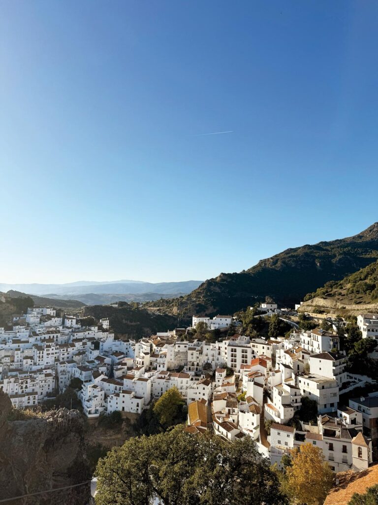 Ladies Drive No. 73. Toyota bZ4X: Taiyō no ki