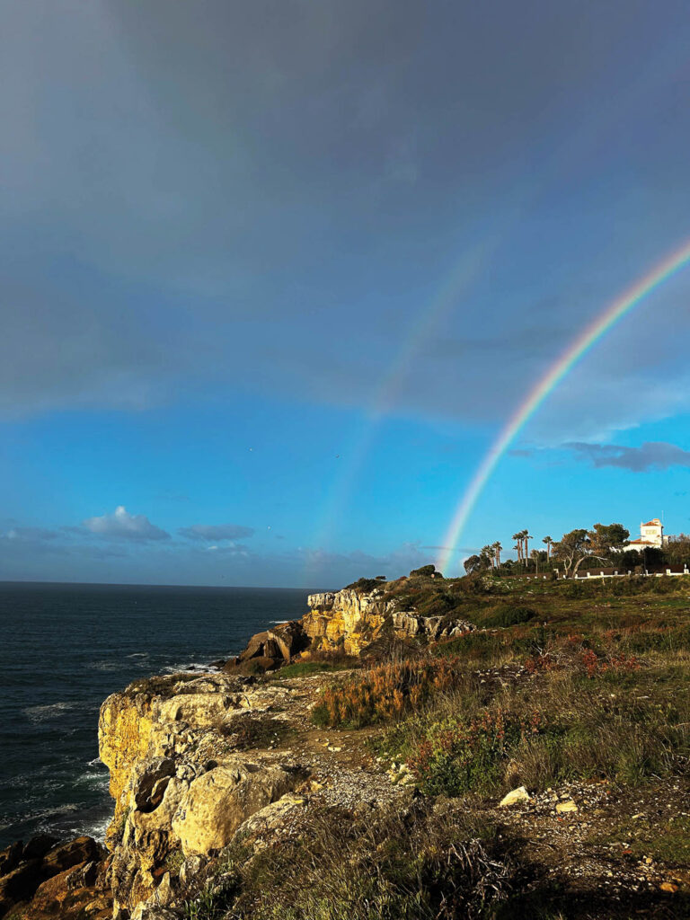 Ladies Drive Magazine No. 73. Renault Clio: On the Road to Independence