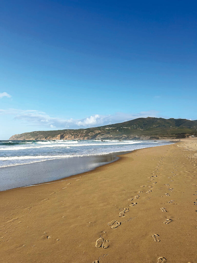 Ladies Drive Magazine No. 73. Renault Clio: On the Road to Independence