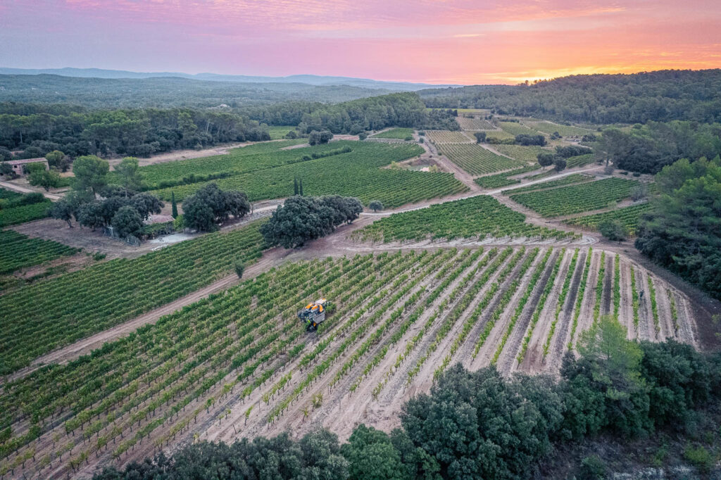 LadiesDrive.World. Die Weinberge rund um Correns in der Provence prägen die Herkunft von Night Bloom.
