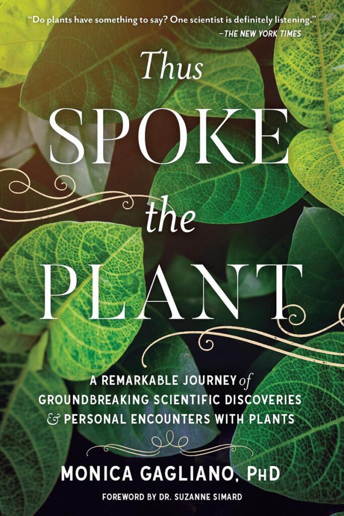 Ladies Drive No. 74: Du bist, was du liest. Monica Gagliano: Thus Spoke the Plant
