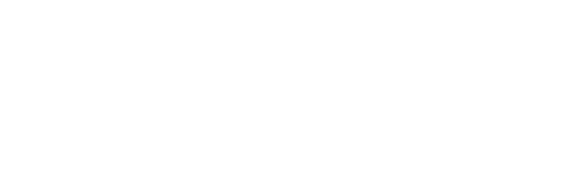 Ladies Drive. Die Business Sisterhood seit 2007. Logo