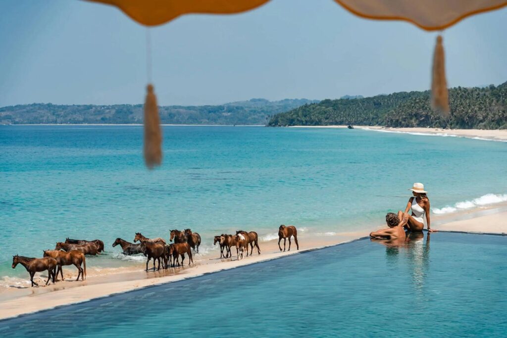 Horses at NIHI Sumba, a luxury resort on the Indonesian island of Sumba.