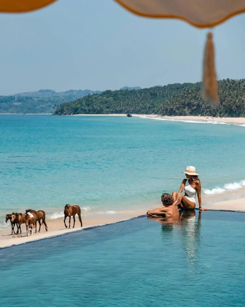 Horses at NIHI Sumba, a luxury resort on the Indonesian island of Sumba.